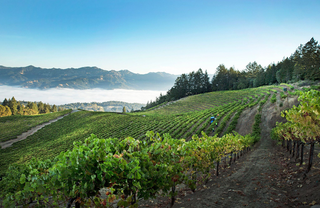 California Wine Month