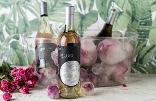 Hosting with Rose-Petal Ice Spheres