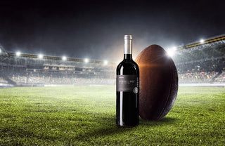 Your Favorite Game Day Snacks Paired with Sterling Wines