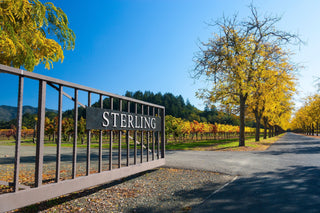 Fall at the Winery