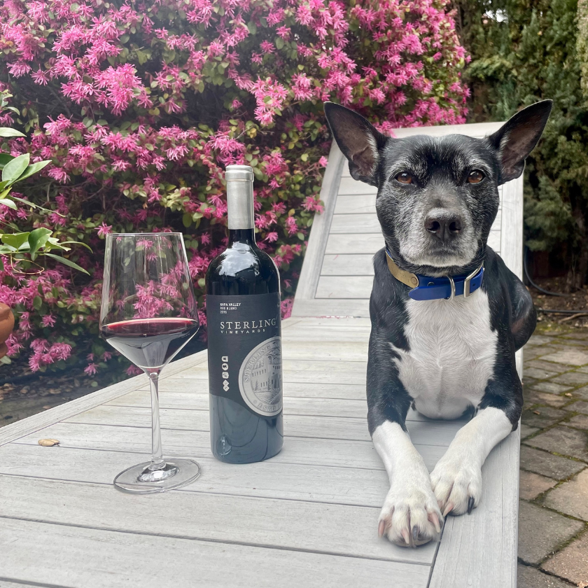 Hugo and Red Blend