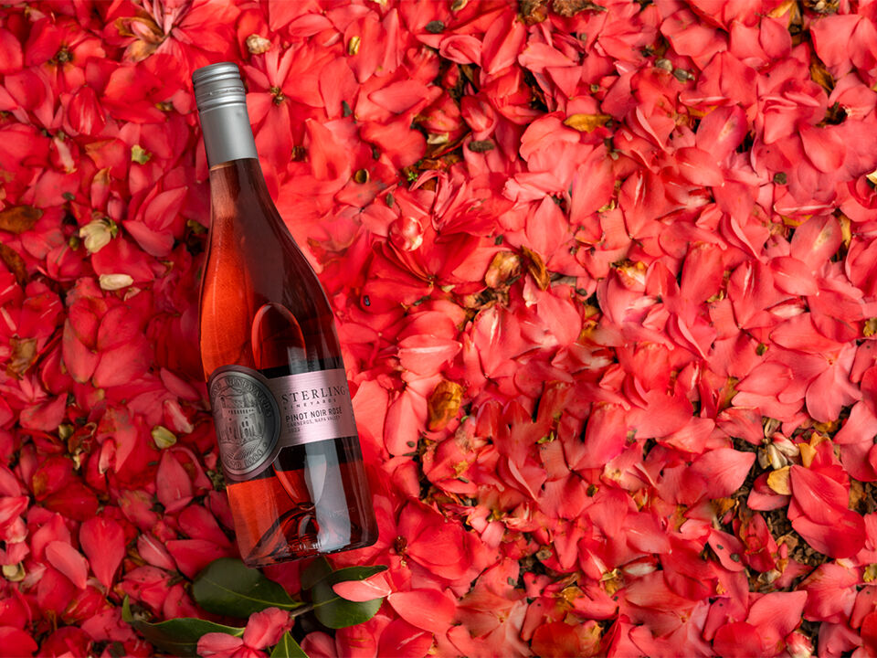 Malvasia Day
