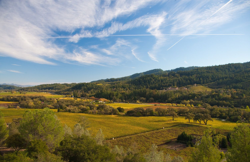 Sterling Vineyards