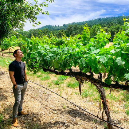 Guest Touring Vineyard at Sterling