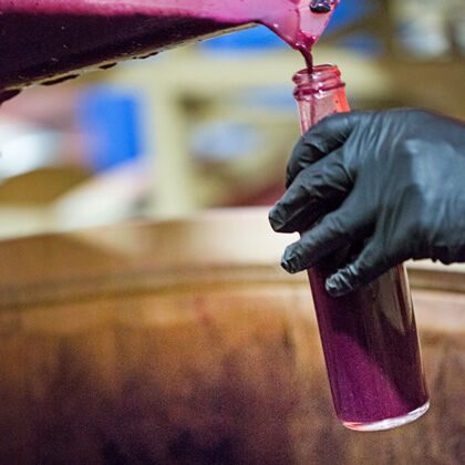 Sampling Wine in Sterling Cellar
